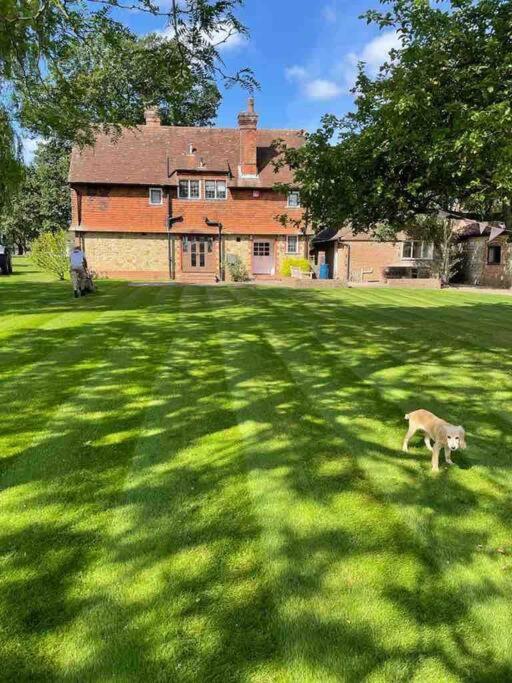 Picturebook Cottage On Prestigious Polo Estate Stedham Exterior photo