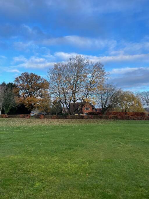 Picturebook Cottage On Prestigious Polo Estate Stedham Exterior photo